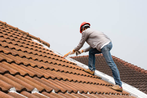 Best Roof Moss and Algae Removal  in Livingston, TX