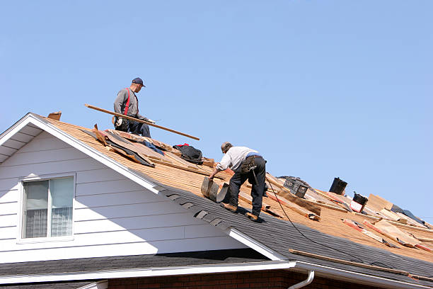 Best 4 Ply Roofing  in Livingston, TX